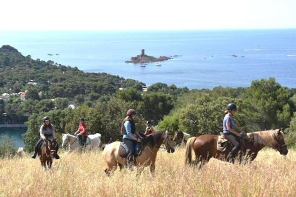 Dans Un Cadre D'Exception, Vue Mer Panoramique A Agay Cote D'Azur, Village Vacances Cap Esterel, T2 Avec Jardin, Golf, Climatisation, Wifi, 5 Piscines Saint-Raphaël Kültér fotó