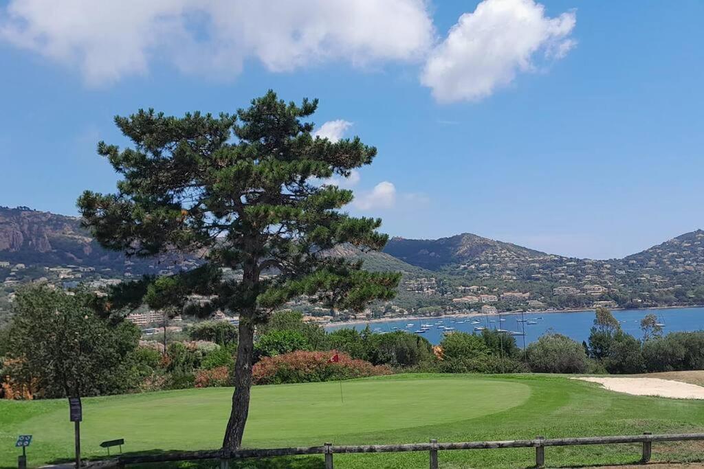 Dans Un Cadre D'Exception, Vue Mer Panoramique A Agay Cote D'Azur, Village Vacances Cap Esterel, T2 Avec Jardin, Golf, Climatisation, Wifi, 5 Piscines Saint-Raphaël Kültér fotó